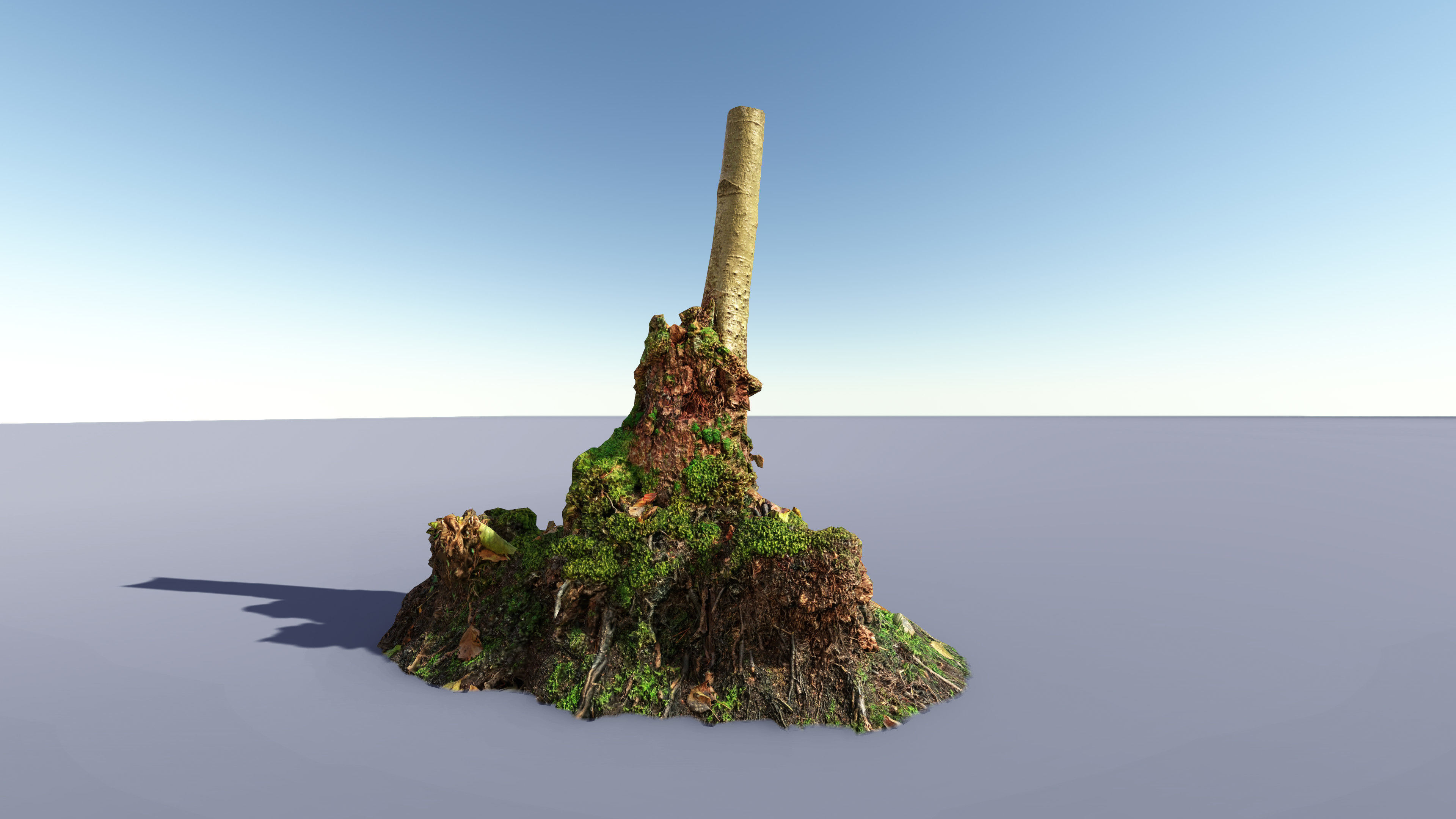 Mossy Tree Collection - Processed Scans PBR 4K Low-poly 3D model_8