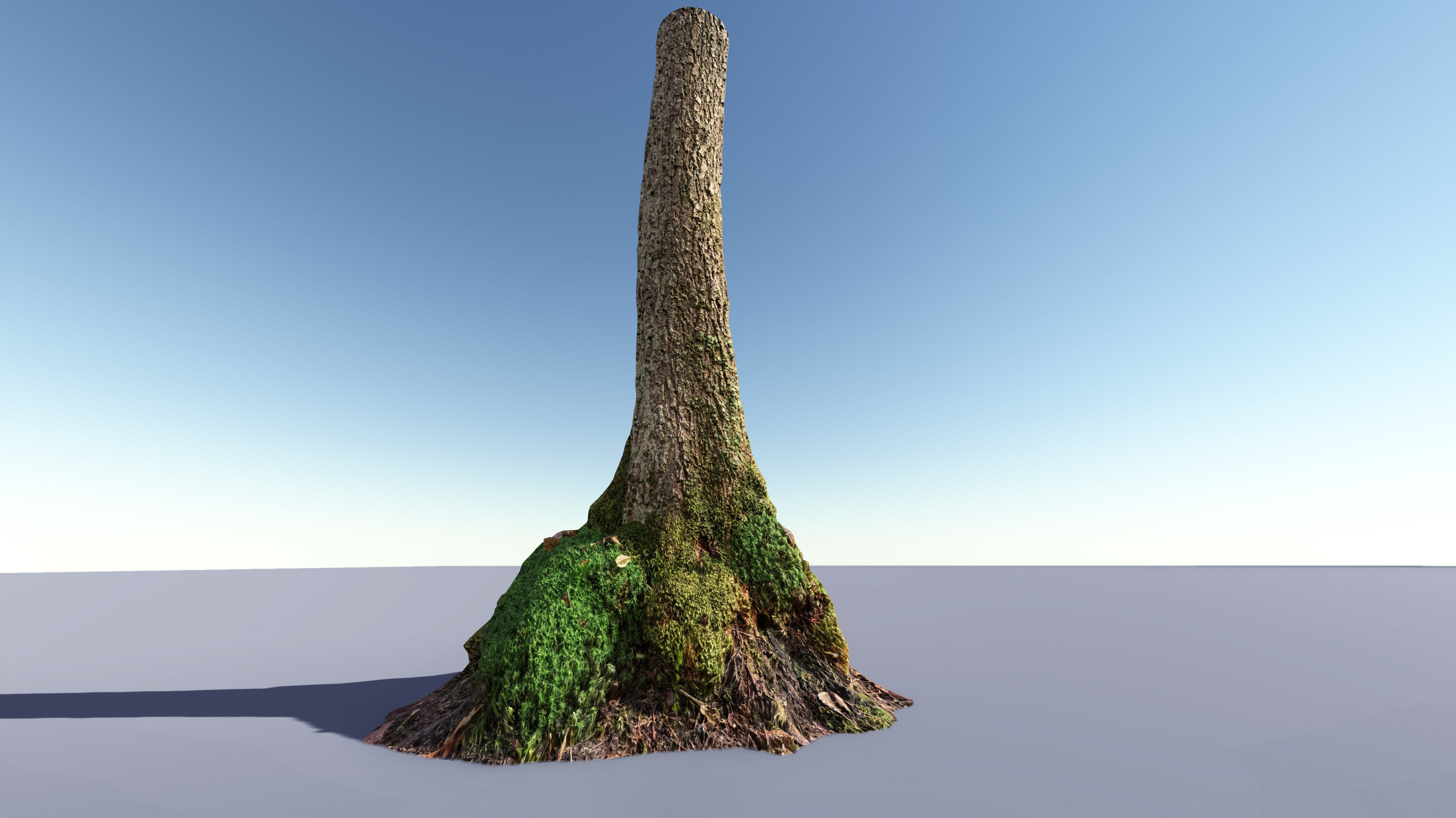 Mossy Tree Collection - Processed Scans PBR 4K Low-poly 3D model_6