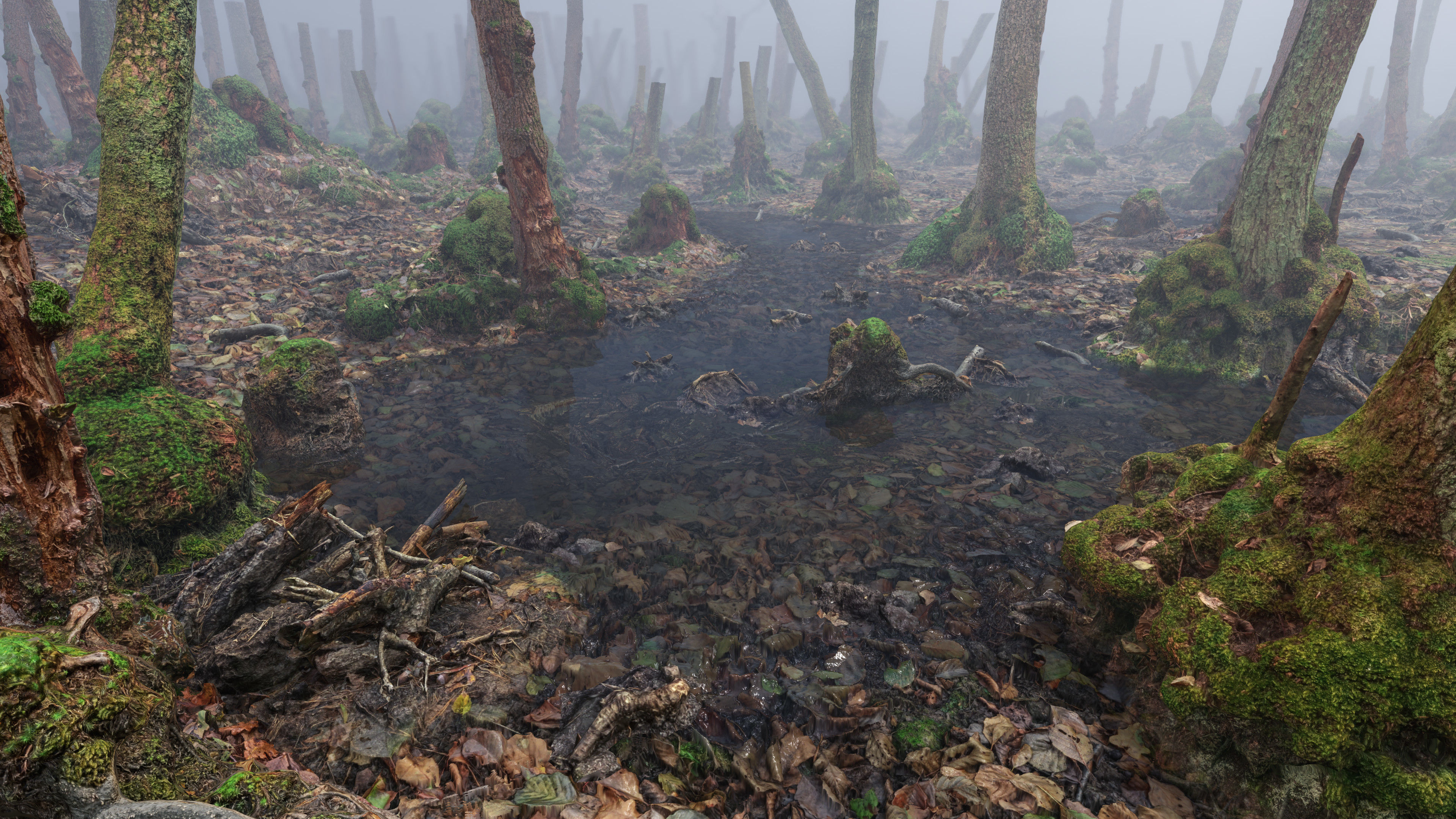 Mossy Tree Collection - Processed Scans PBR 4K Low-poly 3D model_24