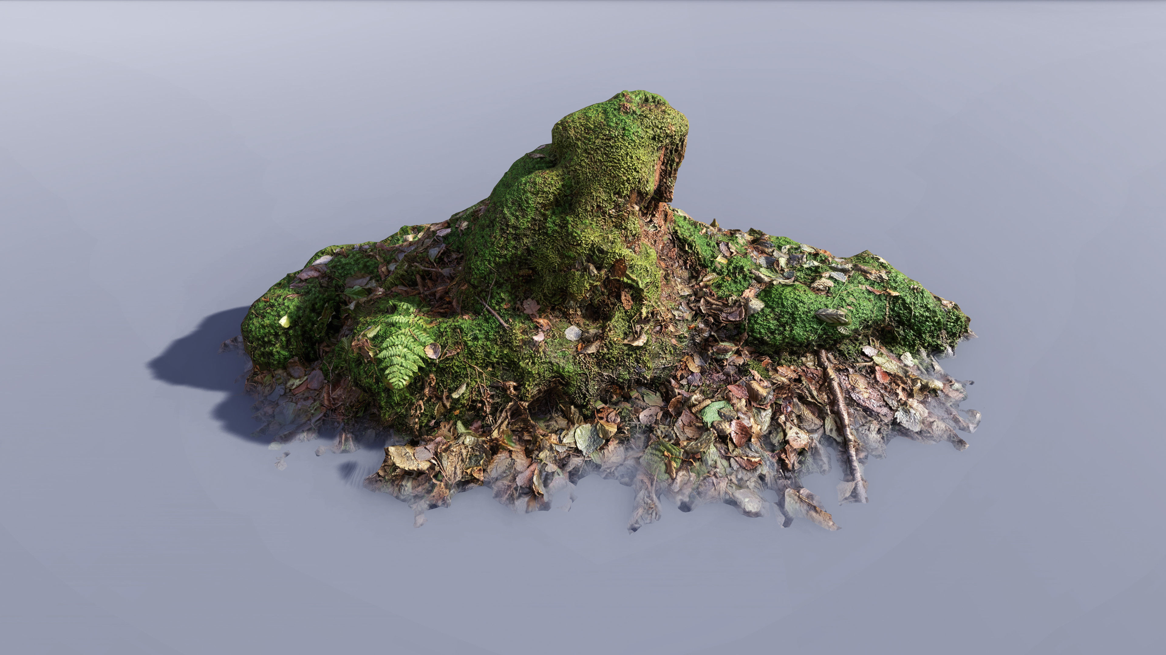 Mossy Tree Collection - Processed Scans PBR 4K Low-poly 3D model_9