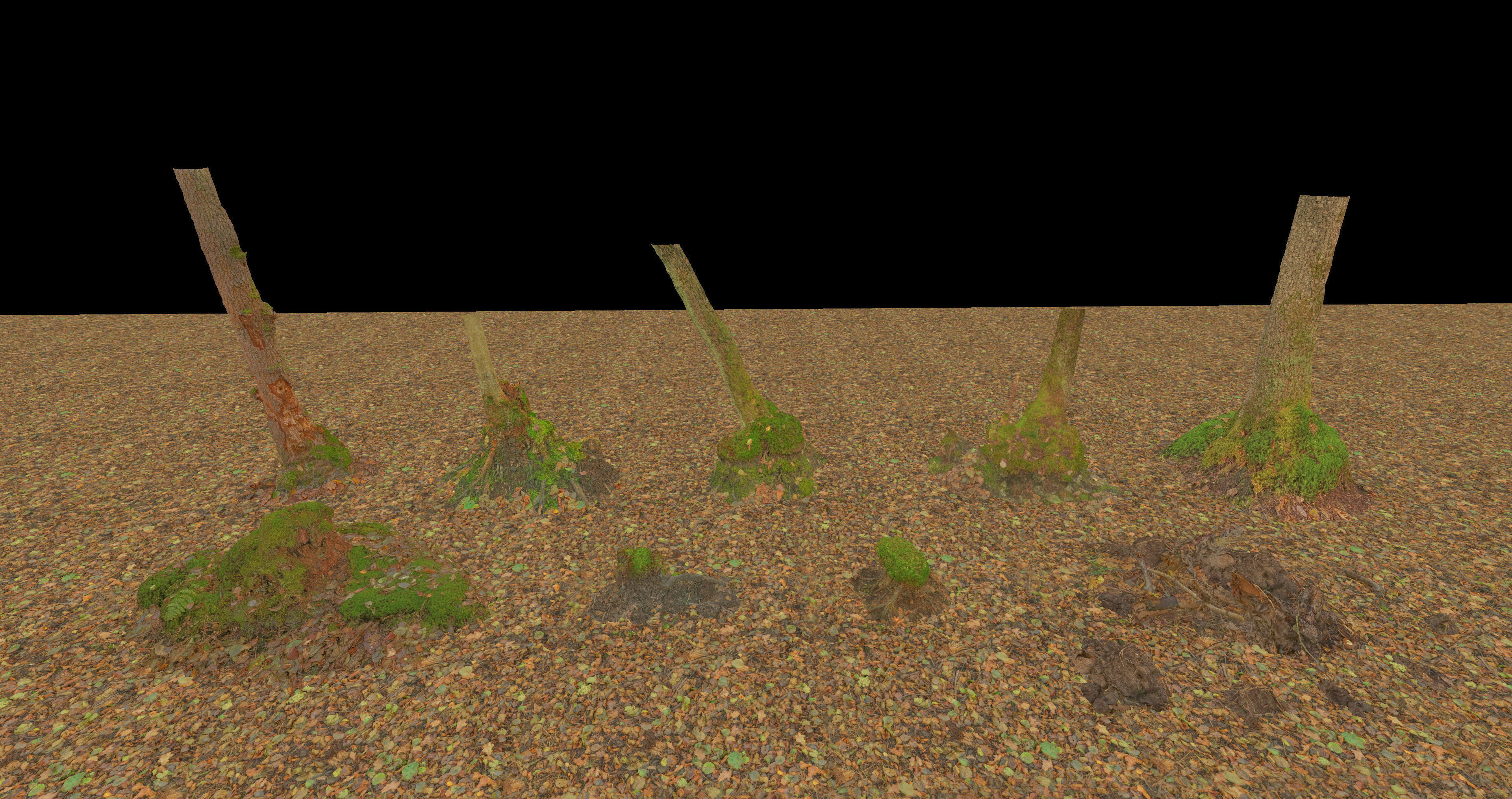 Mossy Tree Collection - Processed Scans PBR 4K Low-poly 3D model_19