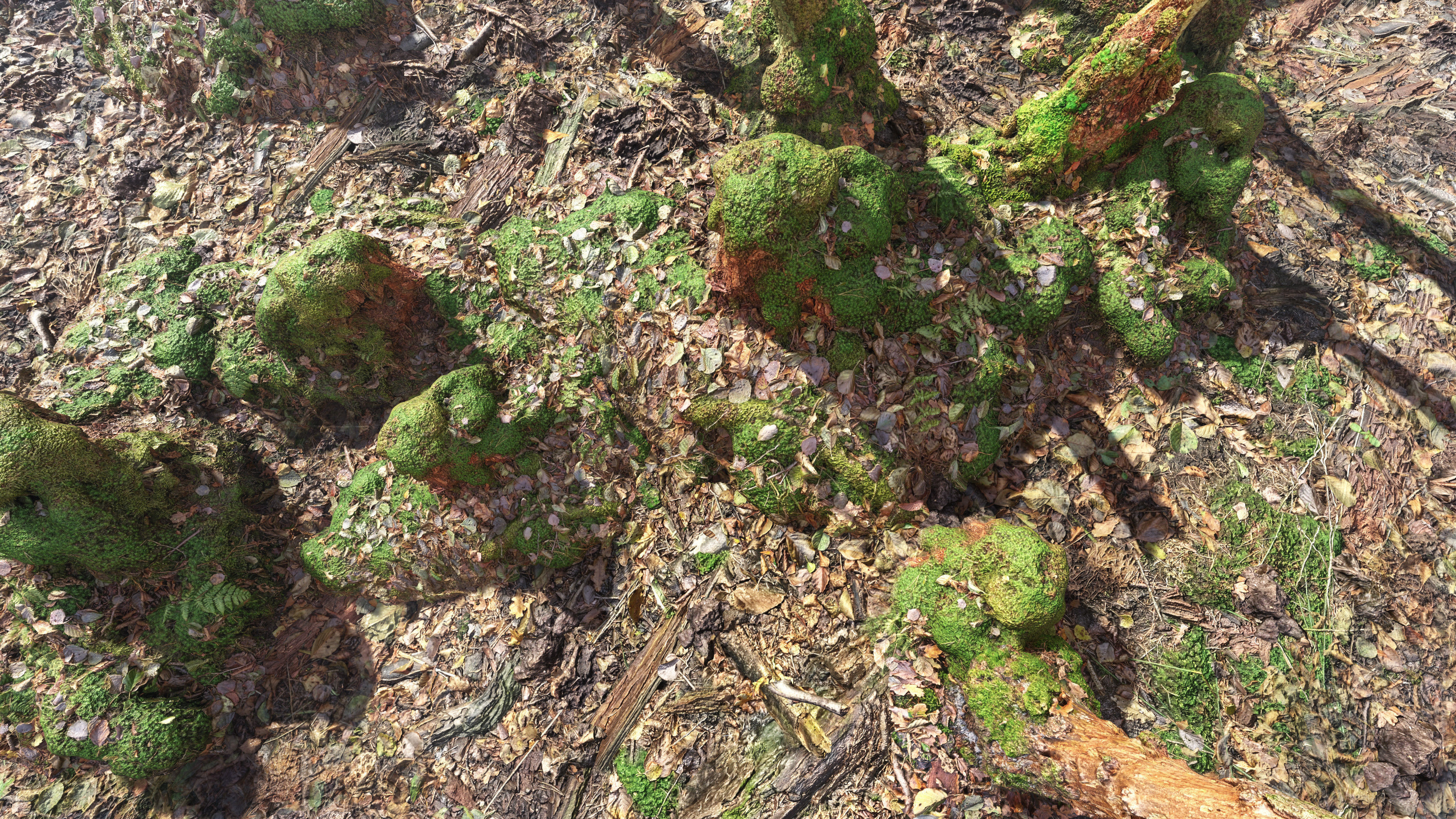 Mossy Tree Collection - Processed Scans PBR 4K Low-poly 3D model_29