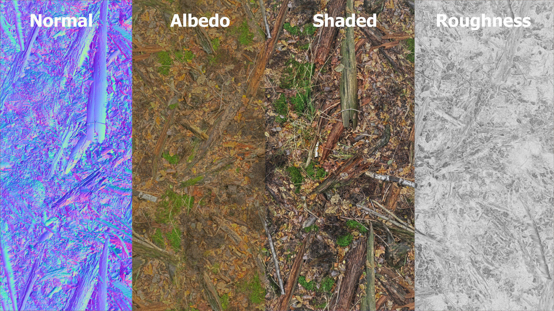 Mossy Tree Collection - Processed Scans PBR 4K Low-poly 3D model_17