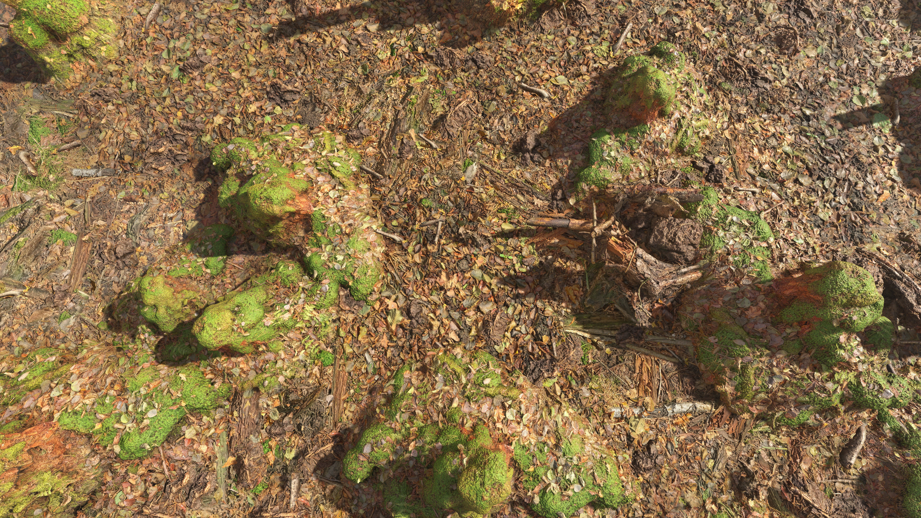 Mossy Tree Collection - Processed Scans PBR 4K Low-poly 3D model_30