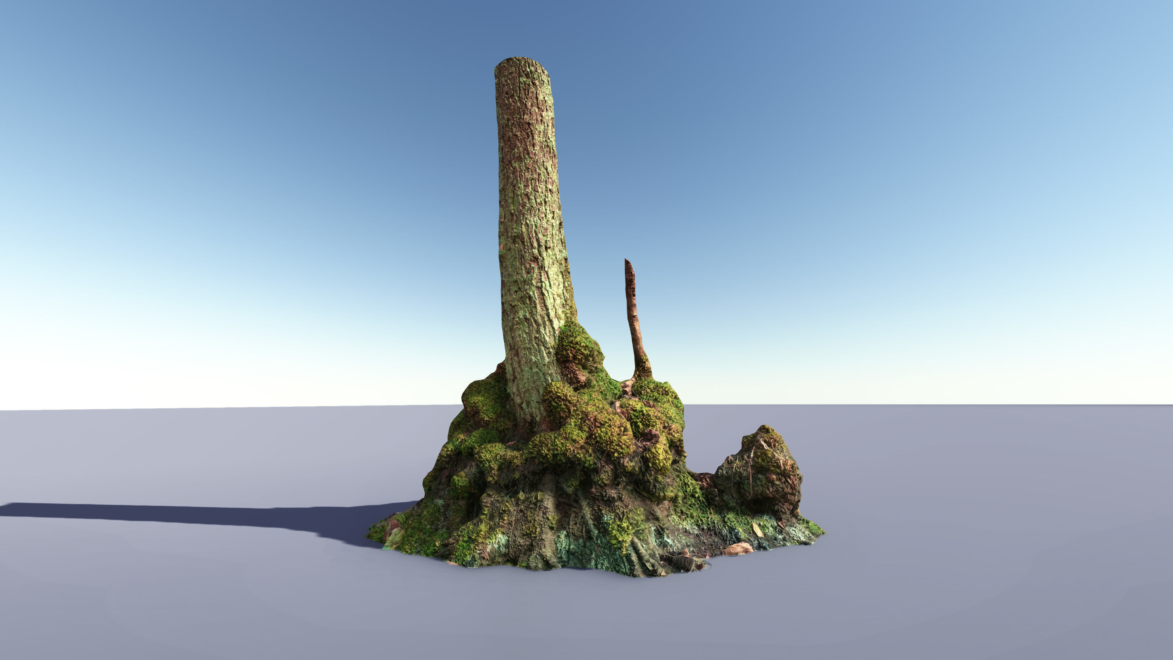 Mossy Tree Collection - Processed Scans PBR 4K Low-poly 3D model_7