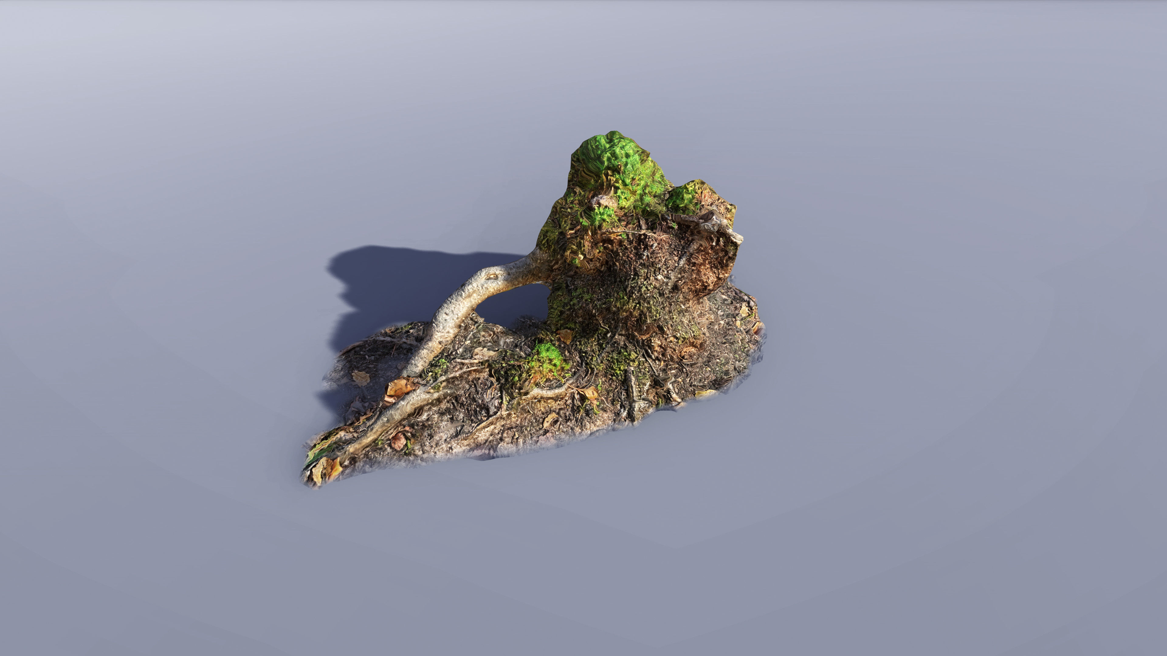 Mossy Tree Collection - Processed Scans PBR 4K Low-poly 3D model_12