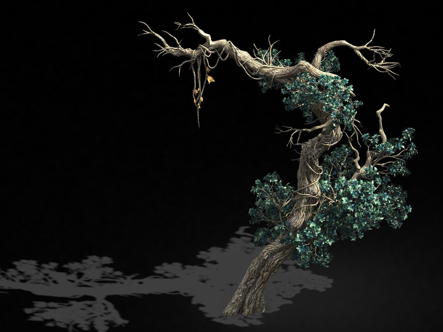 Qianhui Forest-Difu-Vine Tree 052 3D model_1