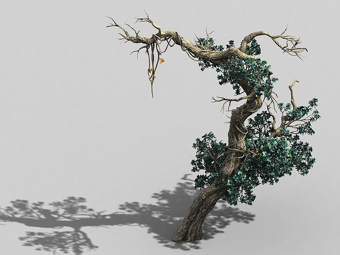 Qianhui Forest-Difu-Vine Tree 052 3D model
