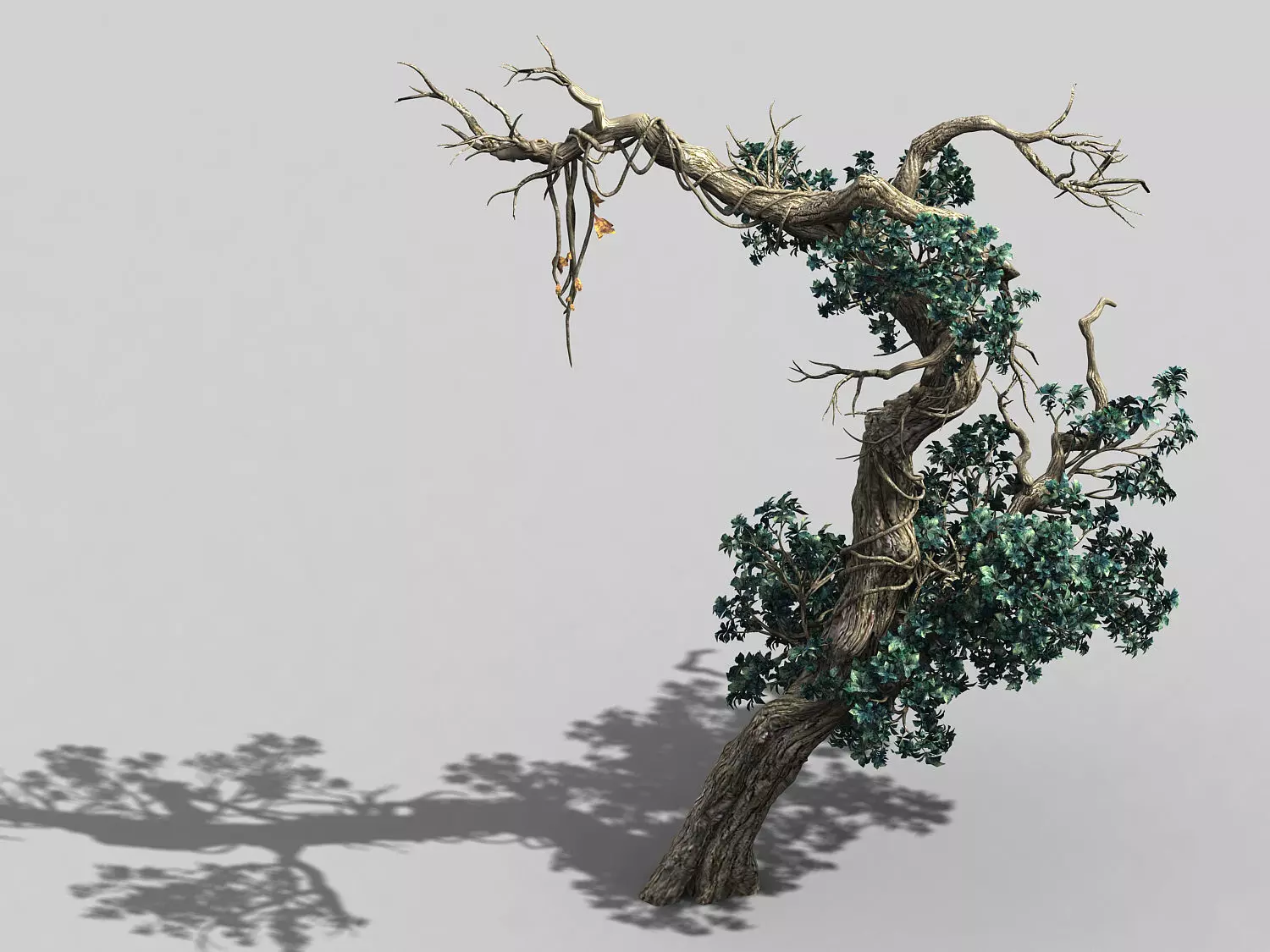 Qianhui Forest-Difu-Vine Tree 052 3D model_0