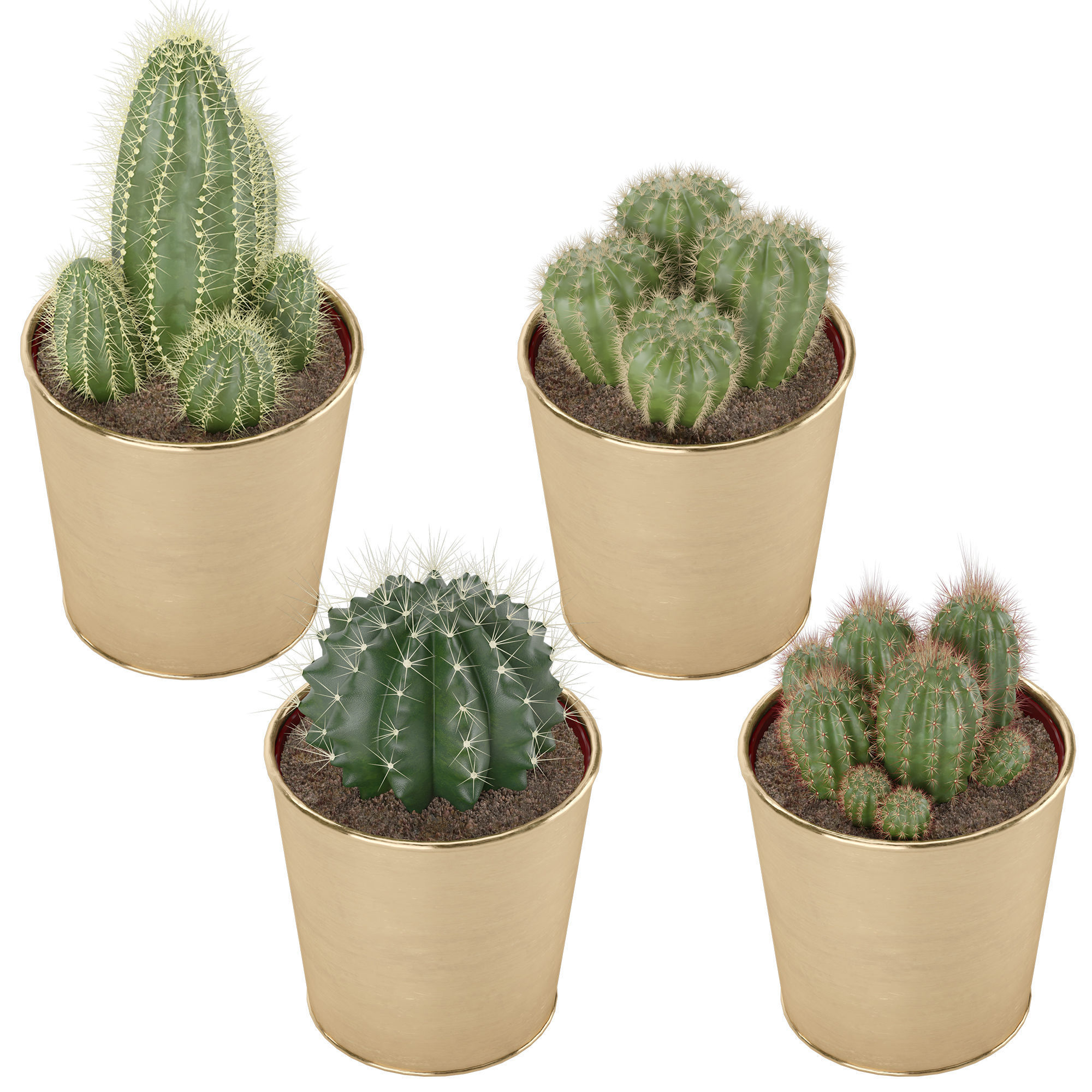 IKEA KRYDDPEPPAR with cactus and BITTERGURKA Watering can 3D model_5