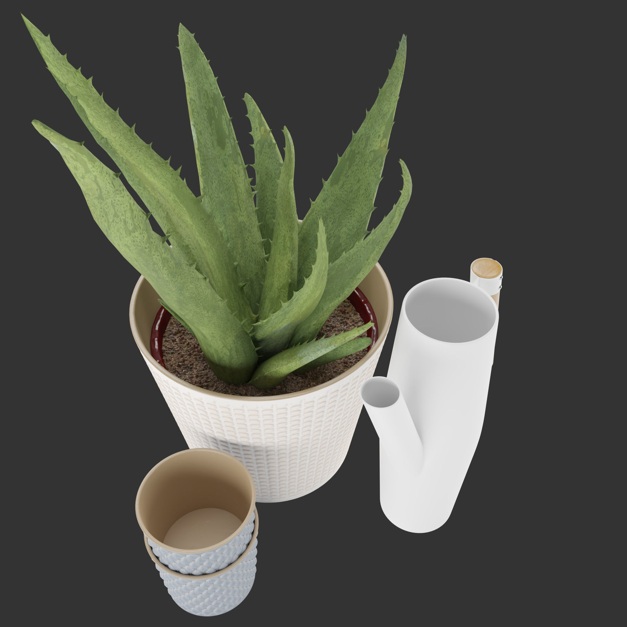IKEA KRYDDPEPPAR with cactus and BITTERGURKA Watering can 3D model_9