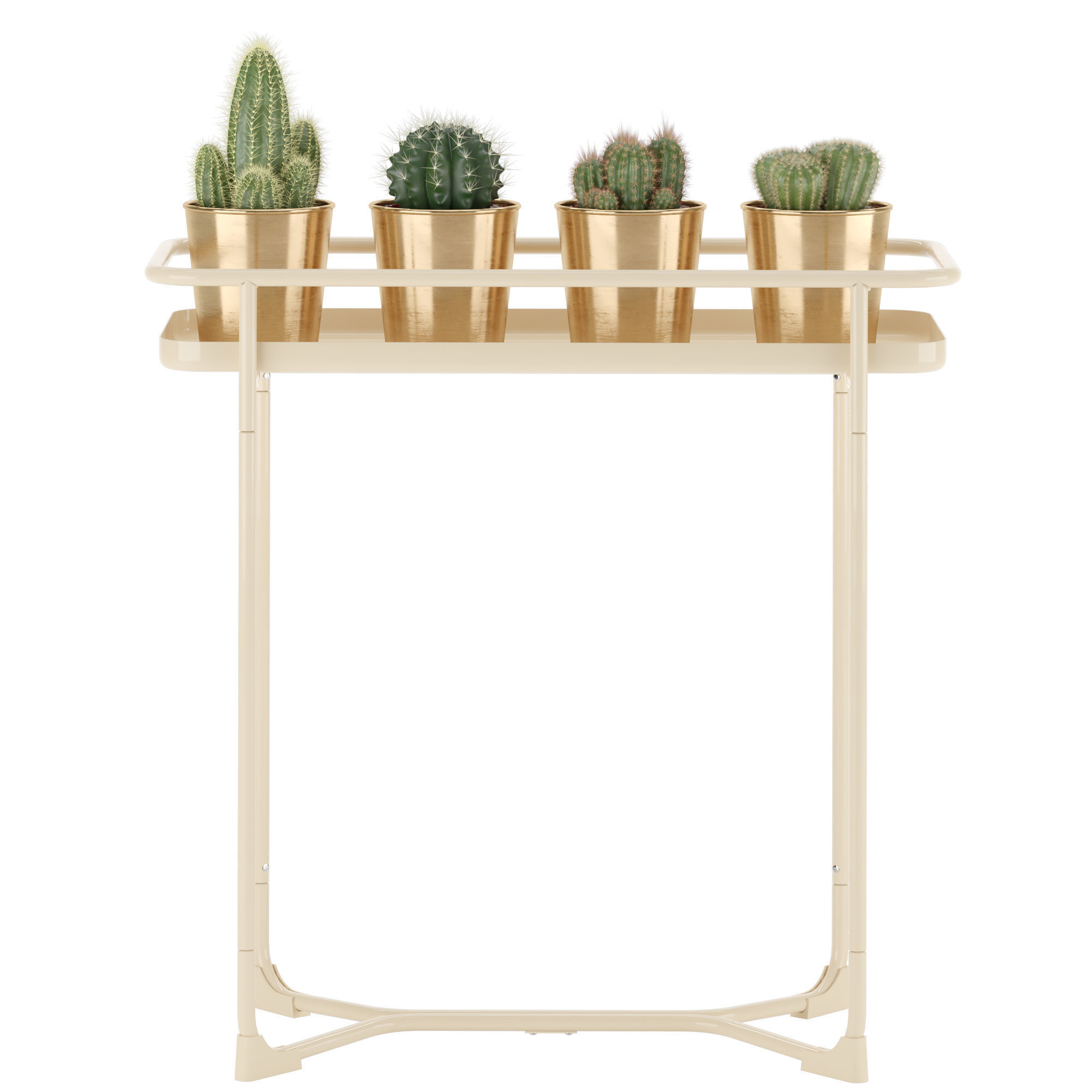 IKEA KRYDDPEPPAR with cactus and BITTERGURKA Watering can 3D model_2