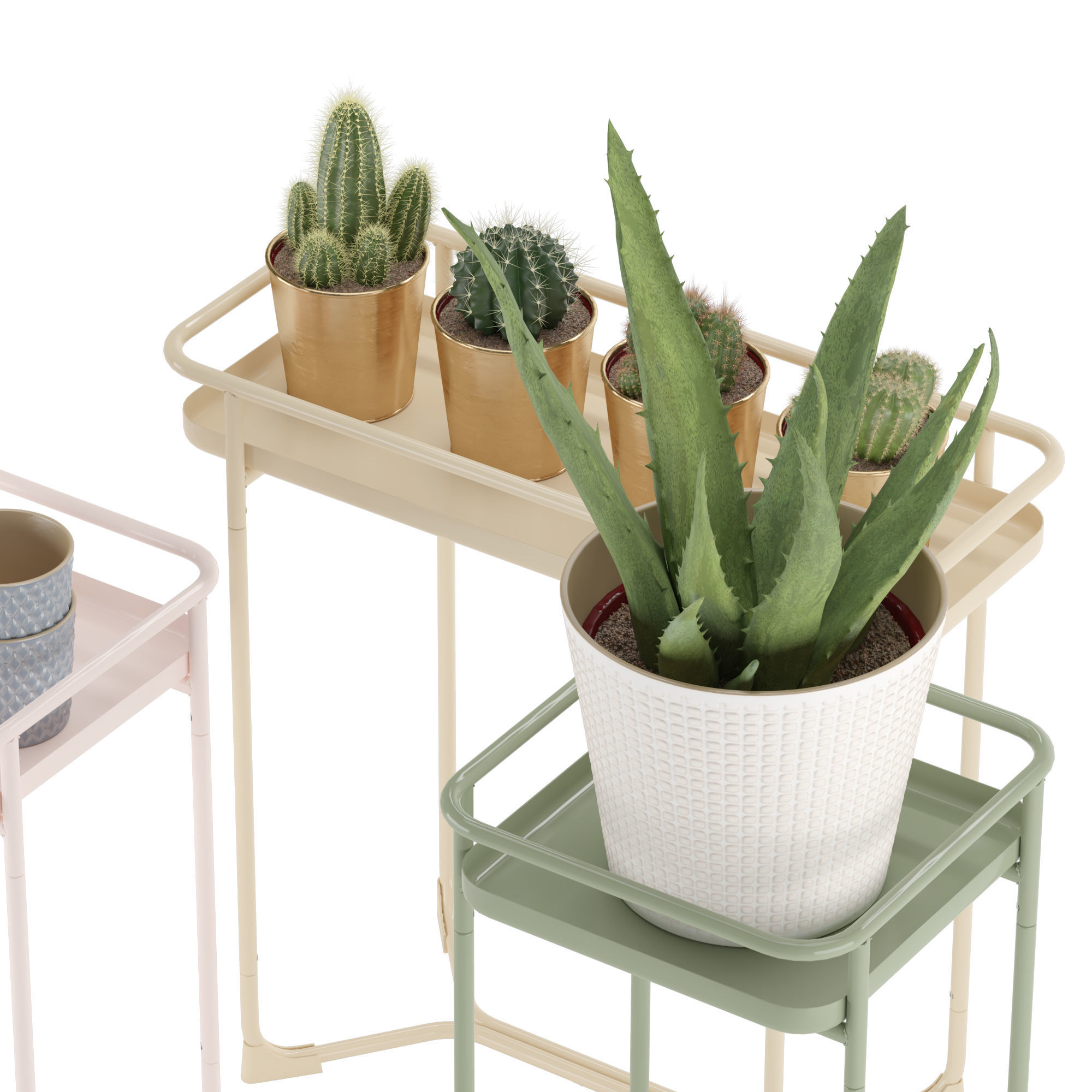 IKEA KRYDDPEPPAR with cactus and BITTERGURKA Watering can 3D model_11