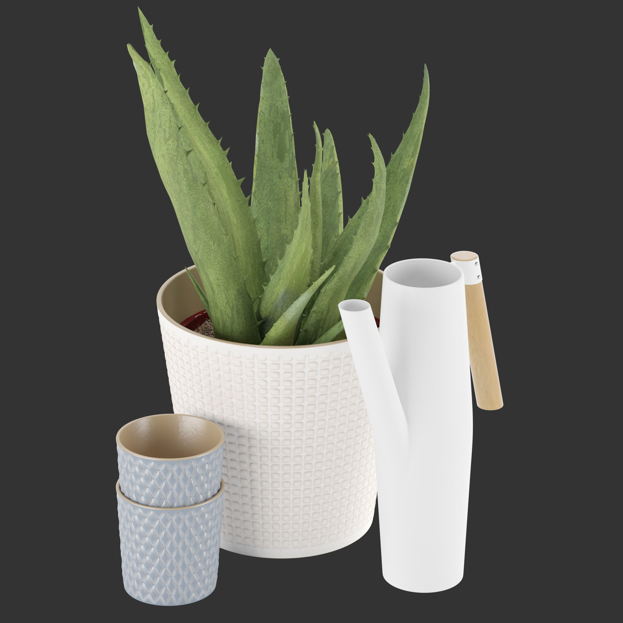 IKEA KRYDDPEPPAR with cactus and BITTERGURKA Watering can 3D model_7