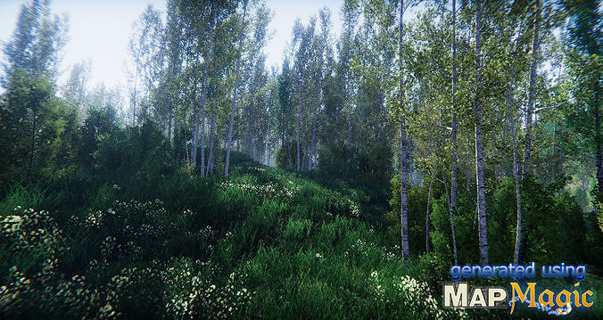 Birch Forest Environment Unity Low-poly 3D model