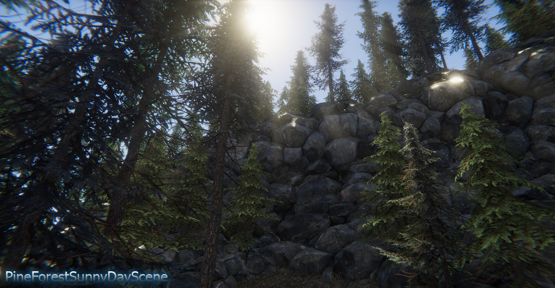 Spruce Trees Pack Unity Low-poly 3D model_11