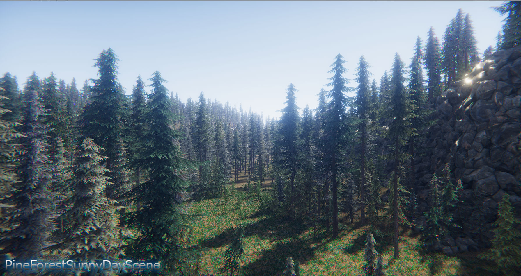 Spruce Trees Pack Unity Low-poly 3D model_15