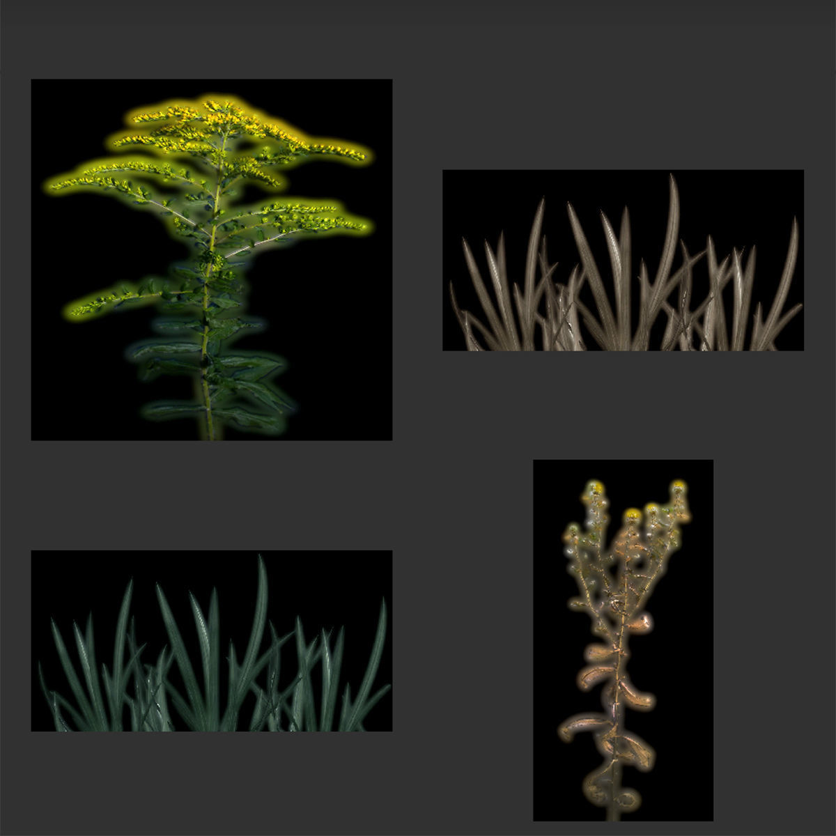 Spruce Trees Pack Unity Low-poly 3D model_23