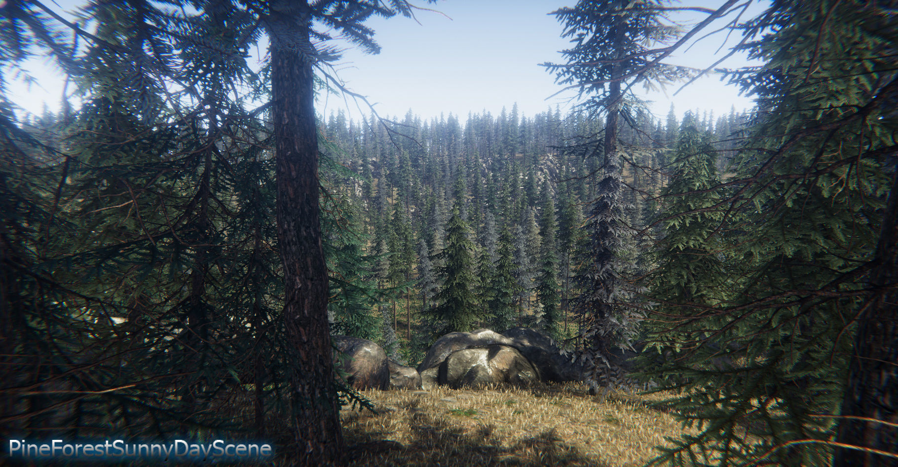 Spruce Trees Pack Unity Low-poly 3D model_6