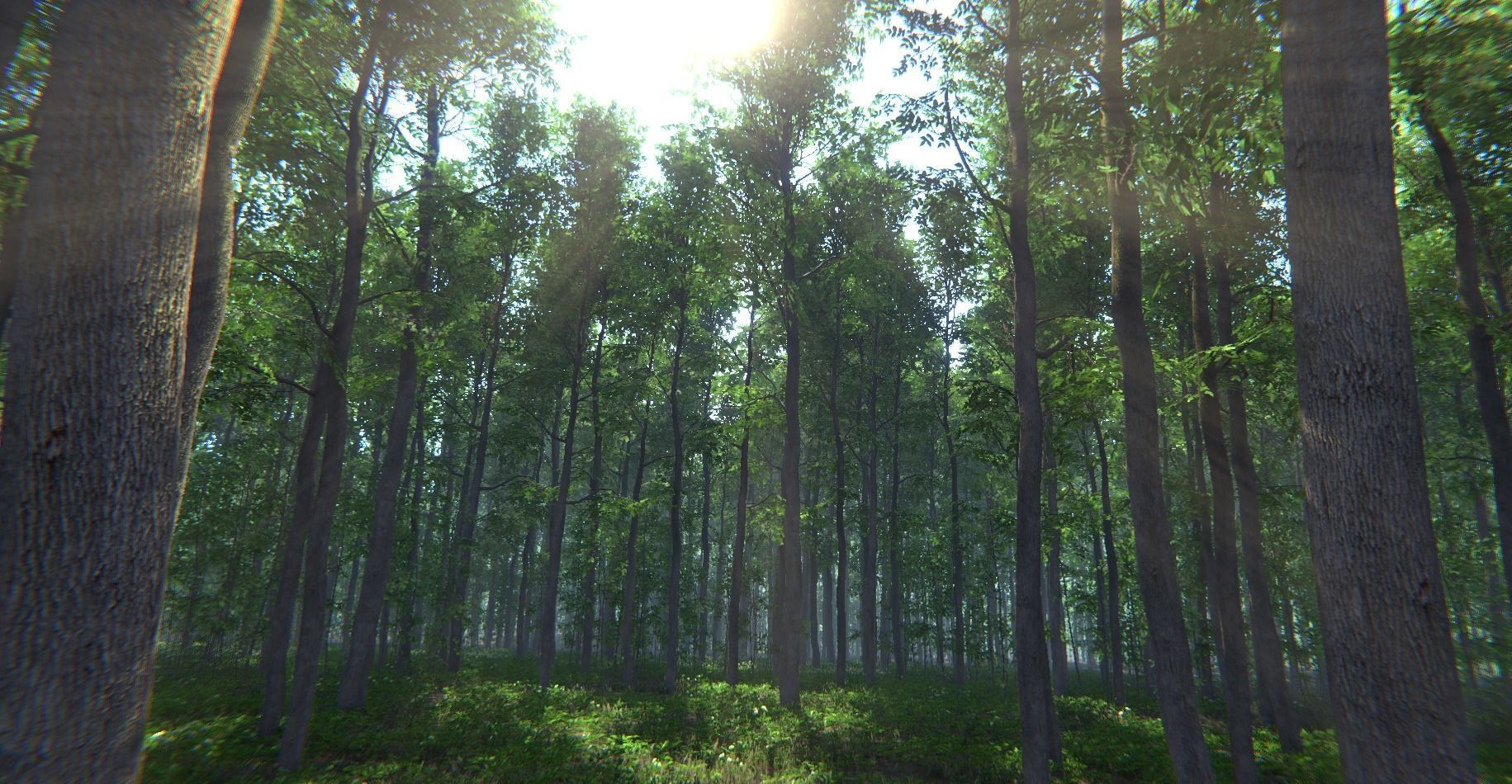 Nature Package - Forest Environment Unity Low-poly 3D model_6