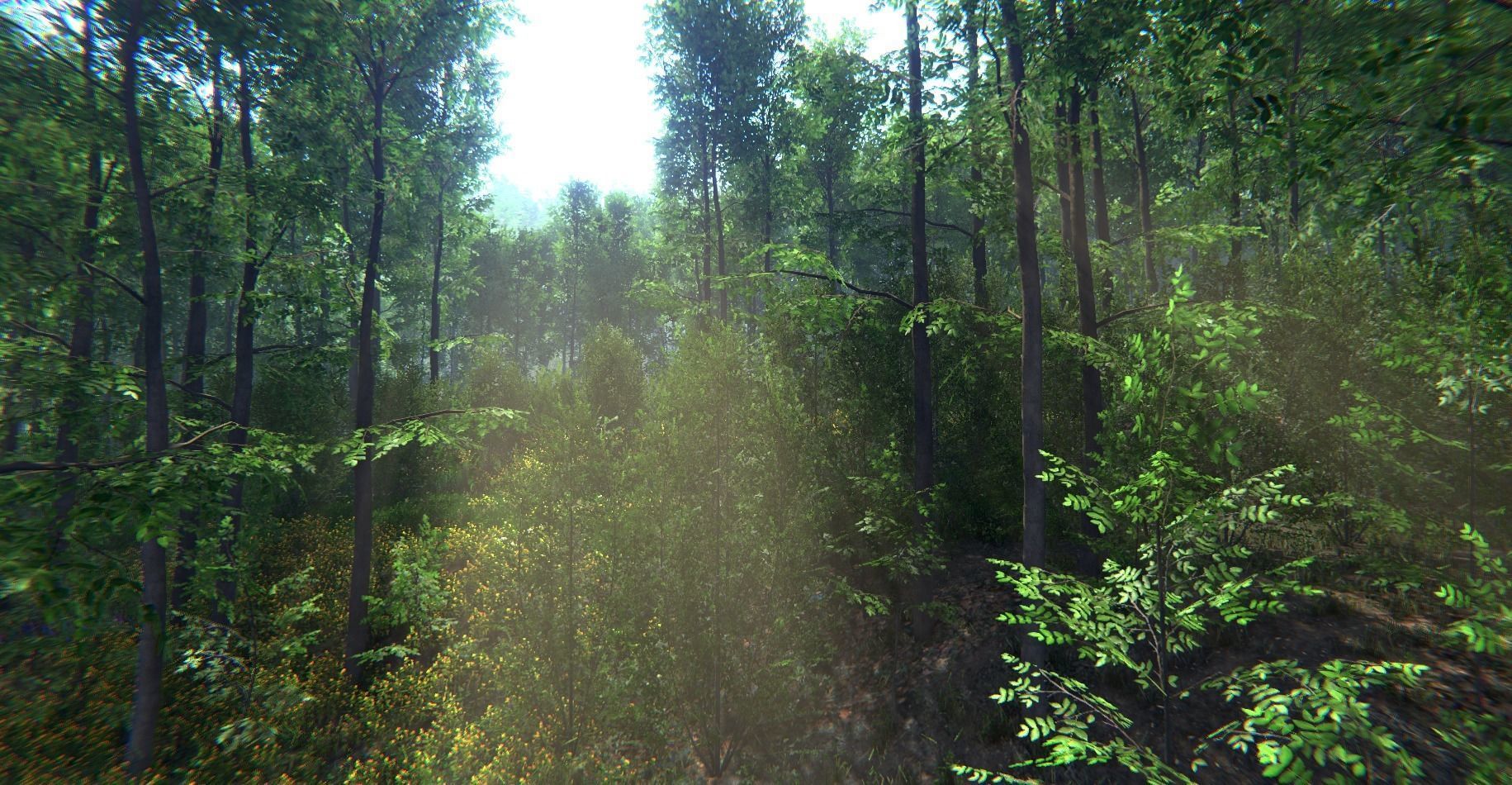 Nature Package - Forest Environment Unity Low-poly 3D model_30