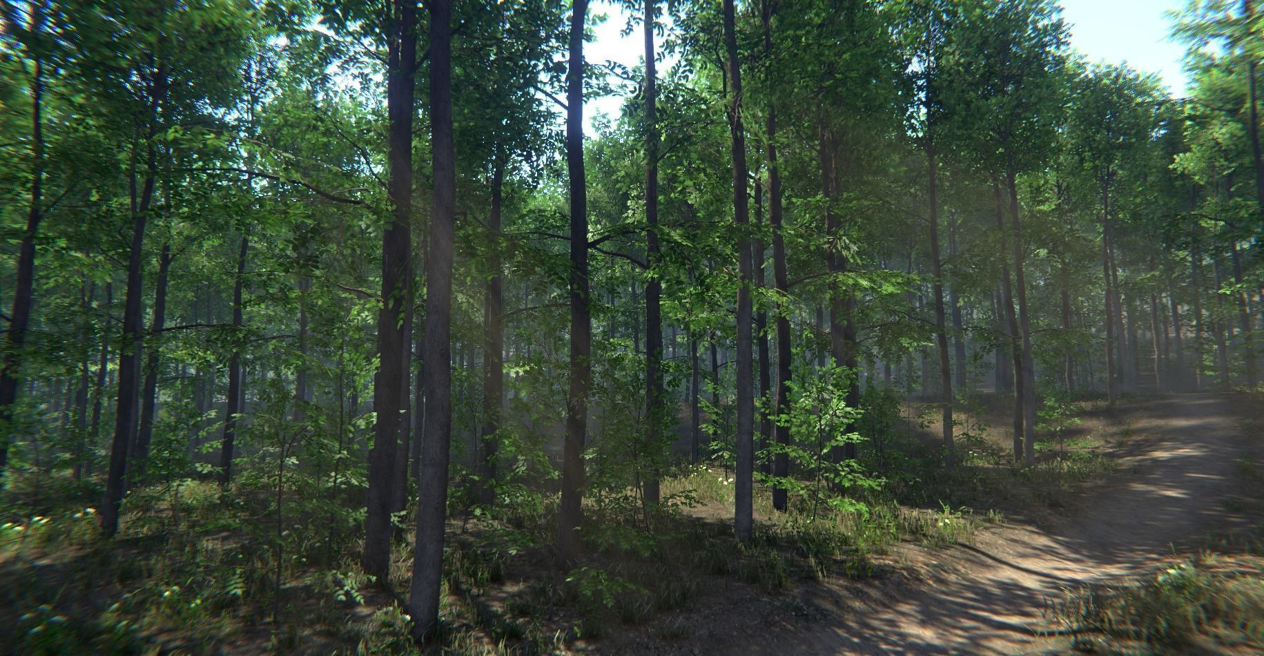 Nature Package - Forest Environment Unity Low-poly 3D model_16