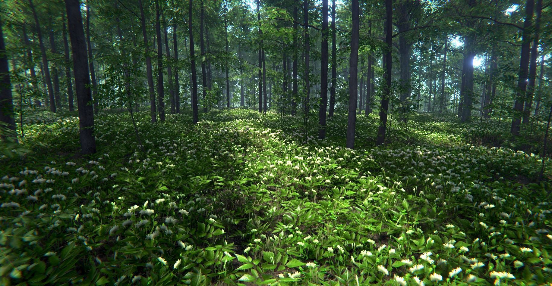 Nature Package - Forest Environment Unity Low-poly 3D model_29