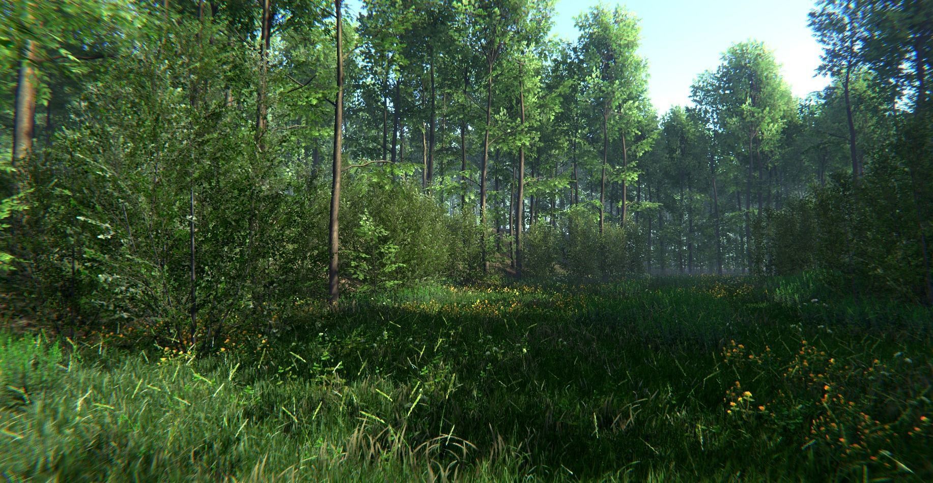 Nature Package - Forest Environment Unity Low-poly 3D model_35