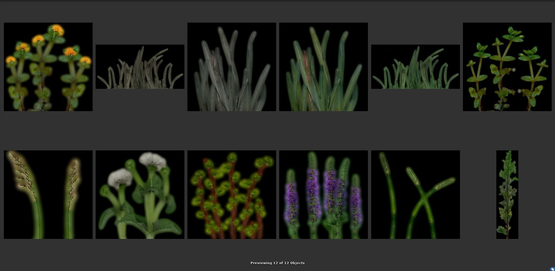 Nature Package - Forest Environment Unity Low-poly 3D model_62