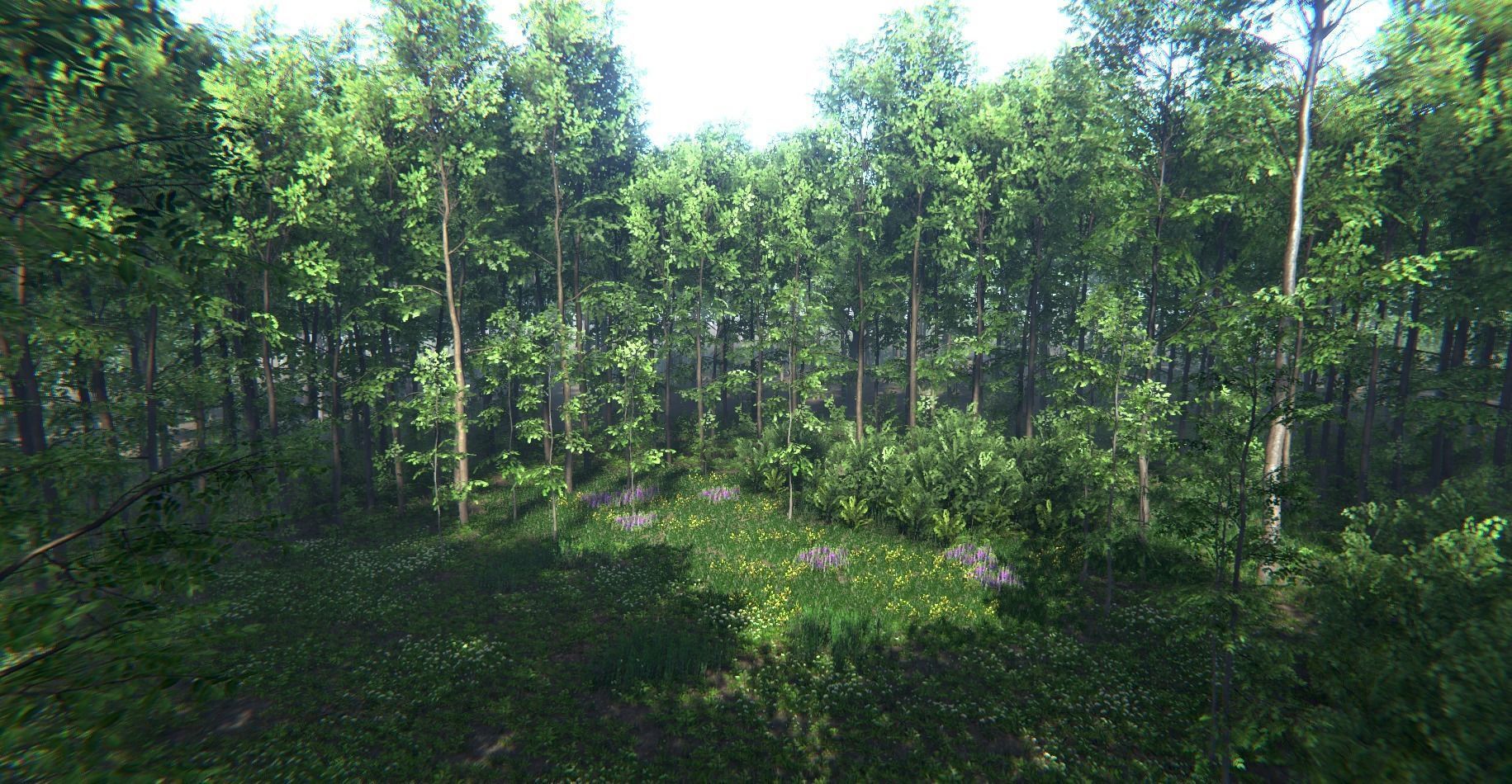 Nature Package - Forest Environment Unity Low-poly 3D model_21