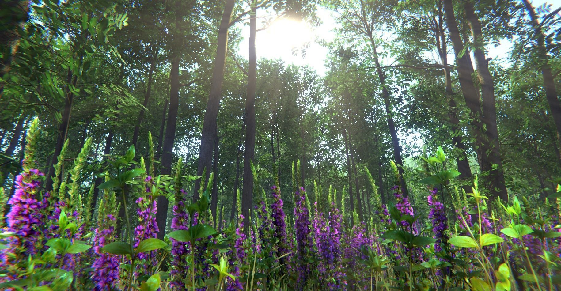 Nature Package - Forest Environment Unity Low-poly 3D model_12