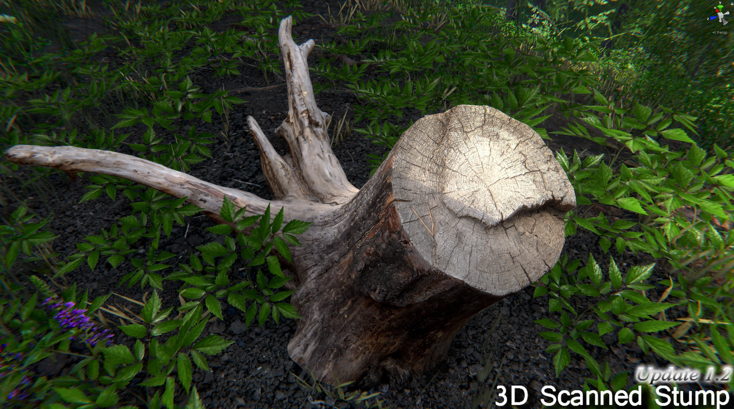 Nature Package - Forest Environment Unity Low-poly 3D model_7