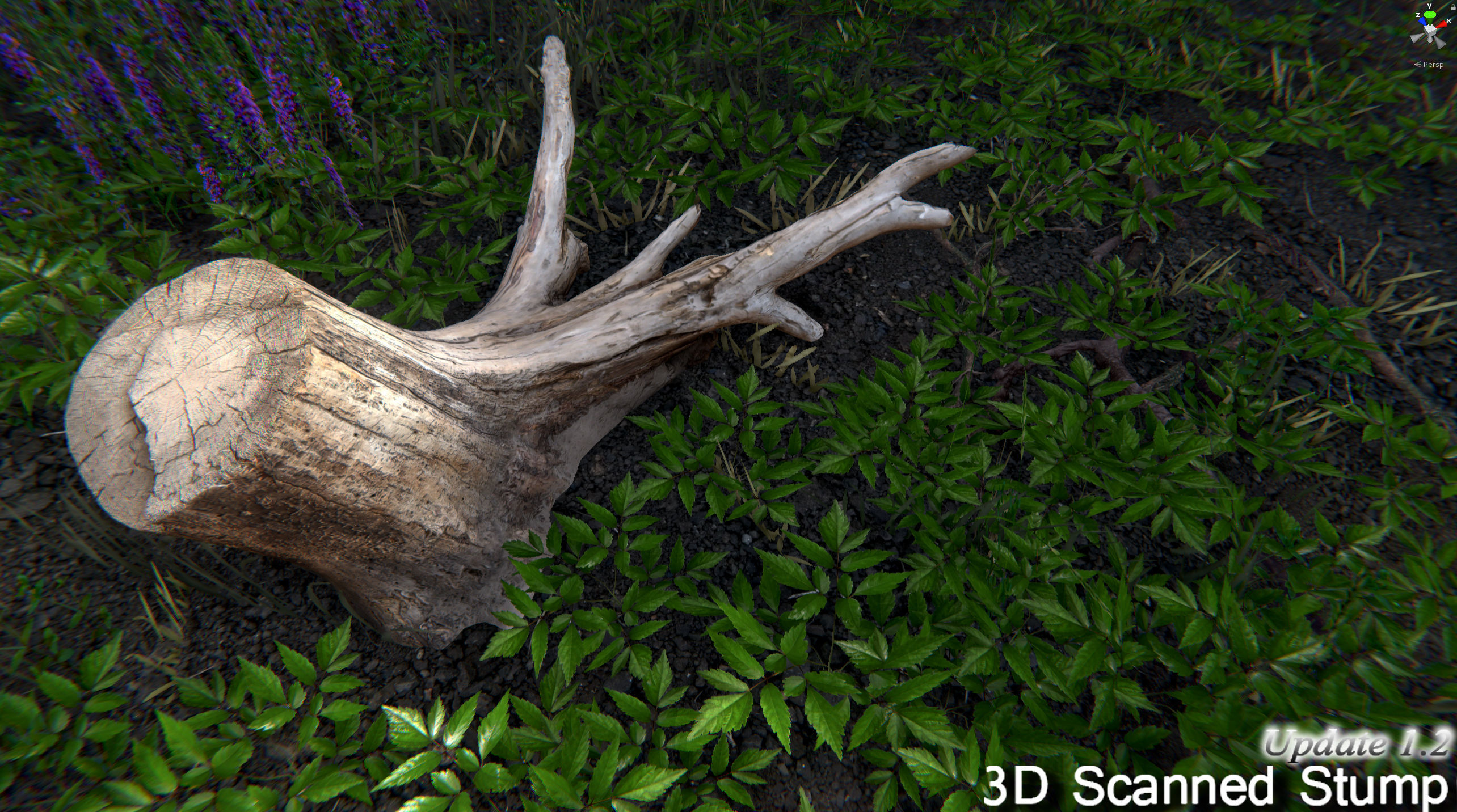 Nature Package - Forest Environment Unity Low-poly 3D model_8