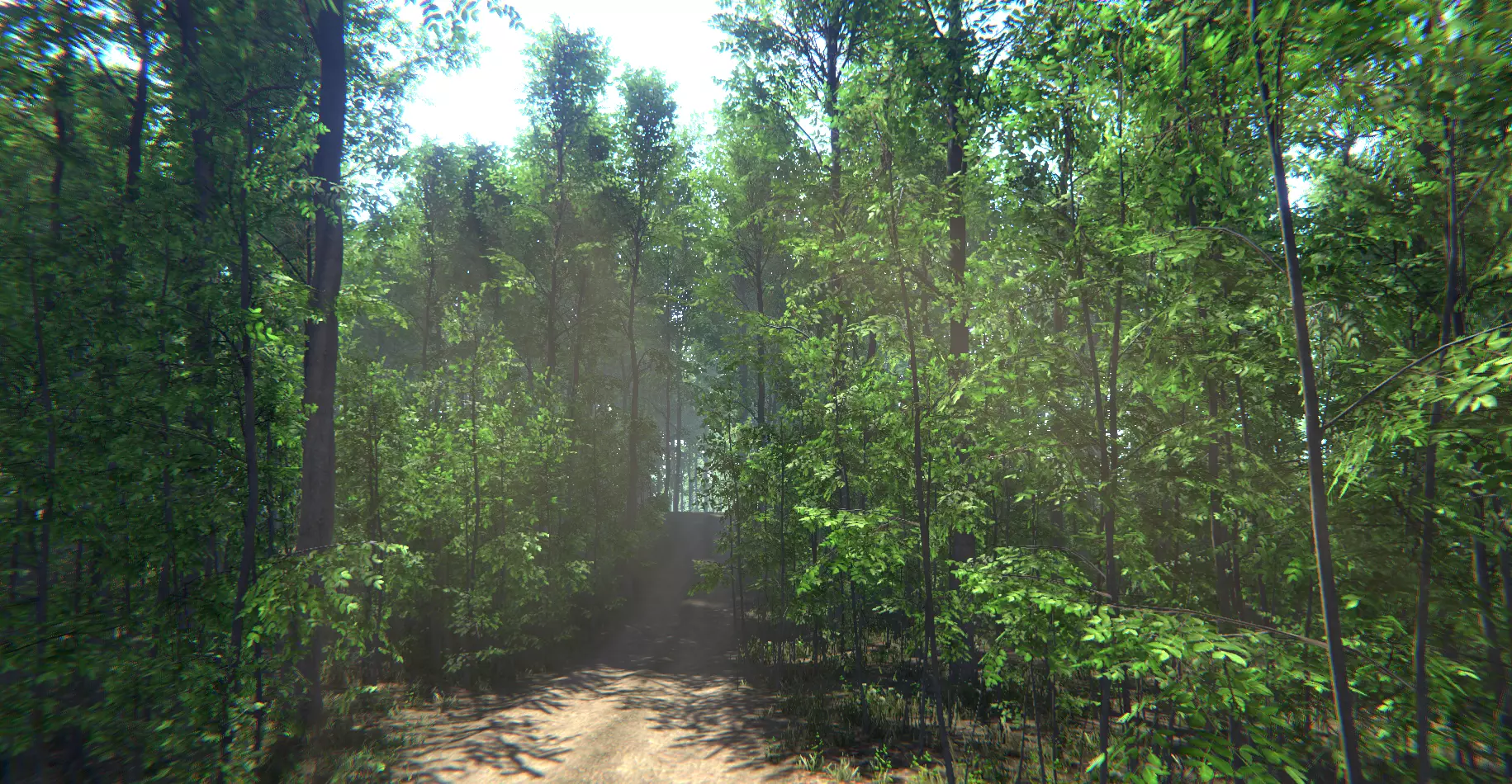 Nature Package - Forest Environment Unity Low-poly 3D model_0