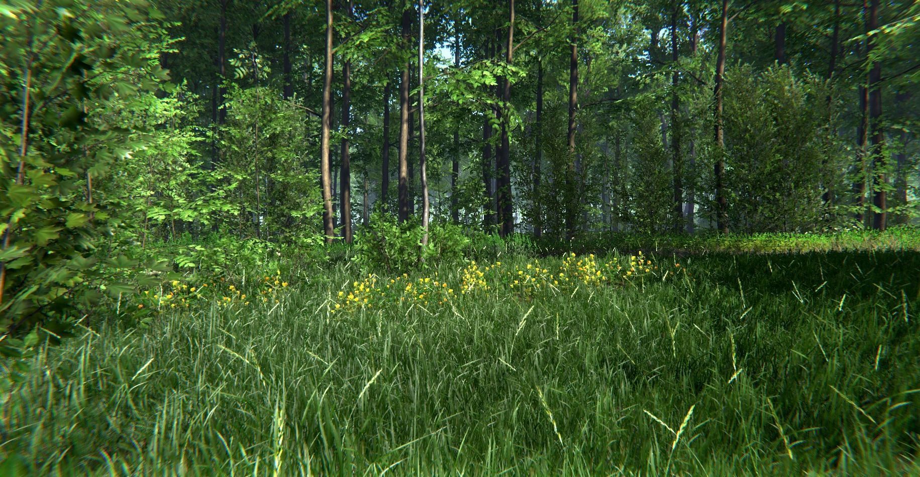 Nature Package - Forest Environment Unity Low-poly 3D model_17