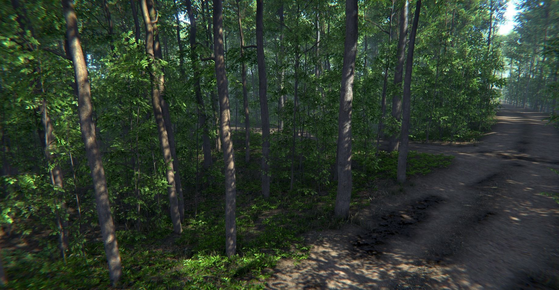 Nature Package - Forest Environment Unity Low-poly 3D model_15