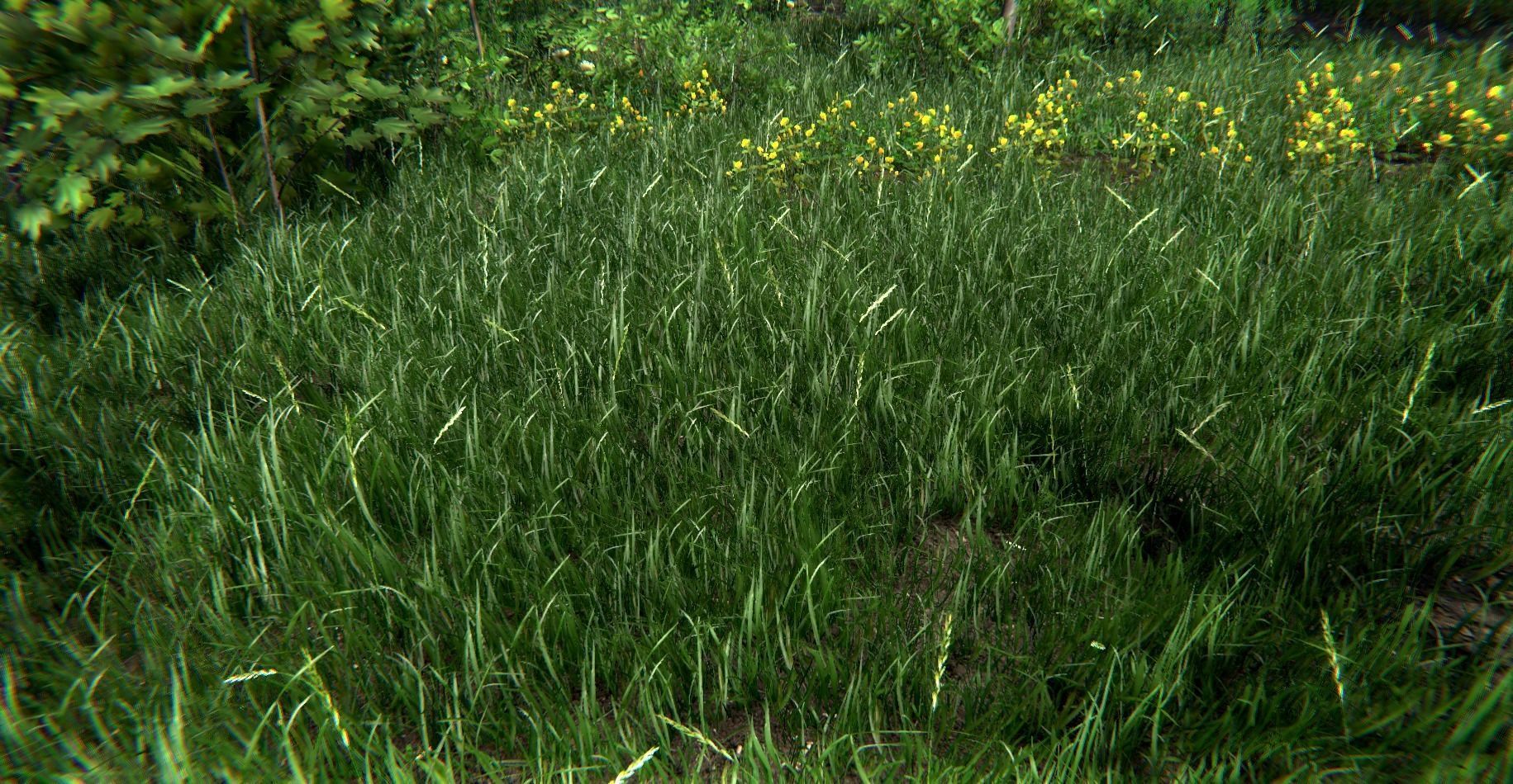 Nature Package - Forest Environment Unity Low-poly 3D model_24