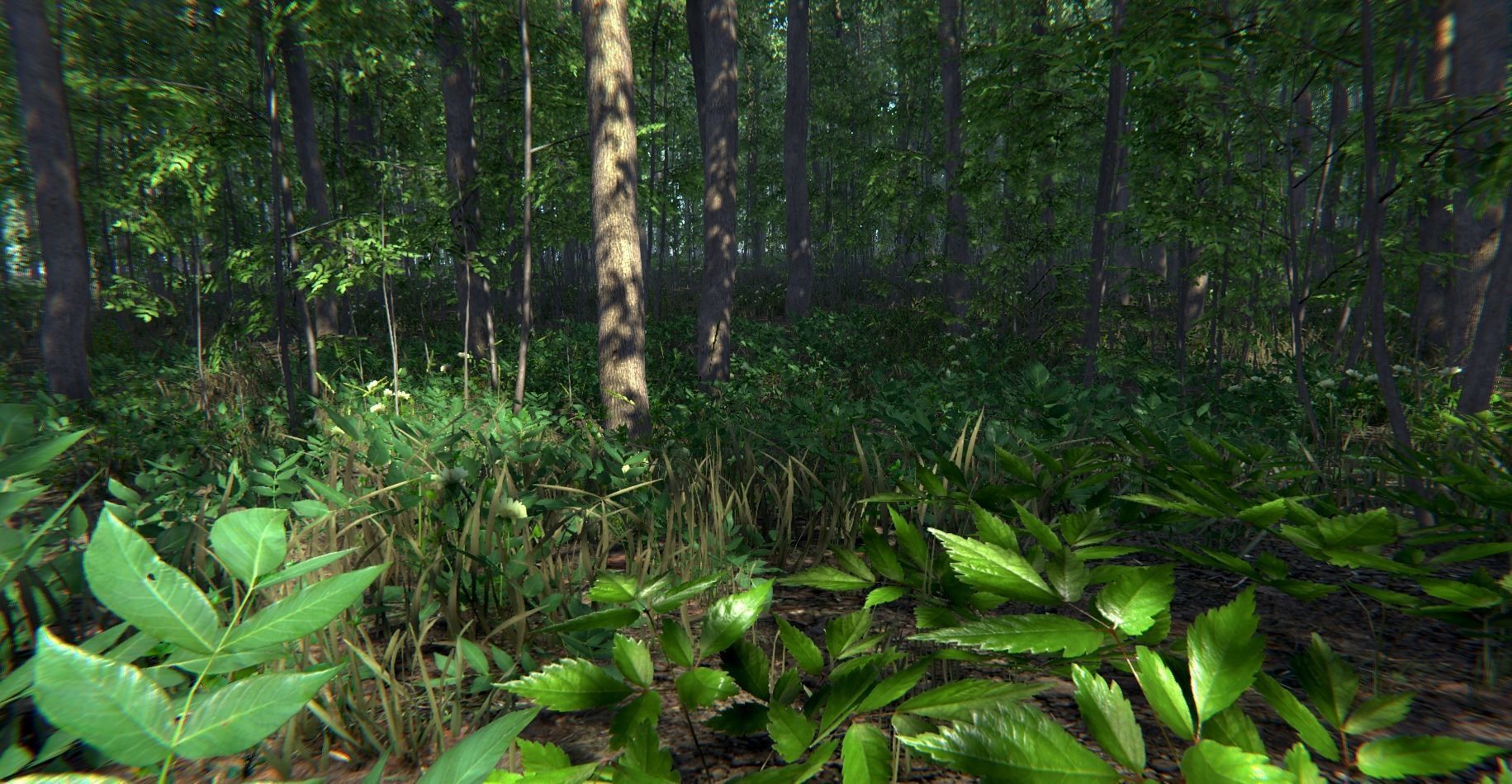 Nature Package - Forest Environment Unity Low-poly 3D model_28