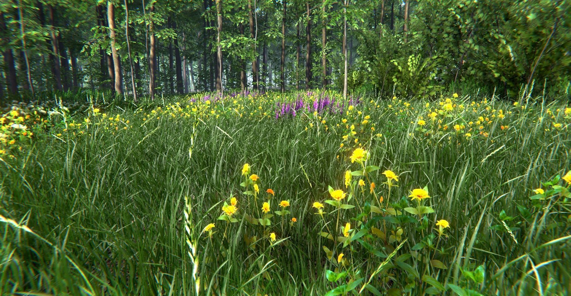 Nature Package - Forest Environment Unity Low-poly 3D model_26