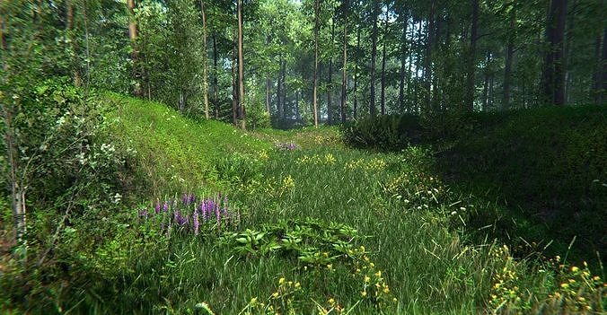 Nature Package - Forest Environment Unity Low-poly 3D model 3