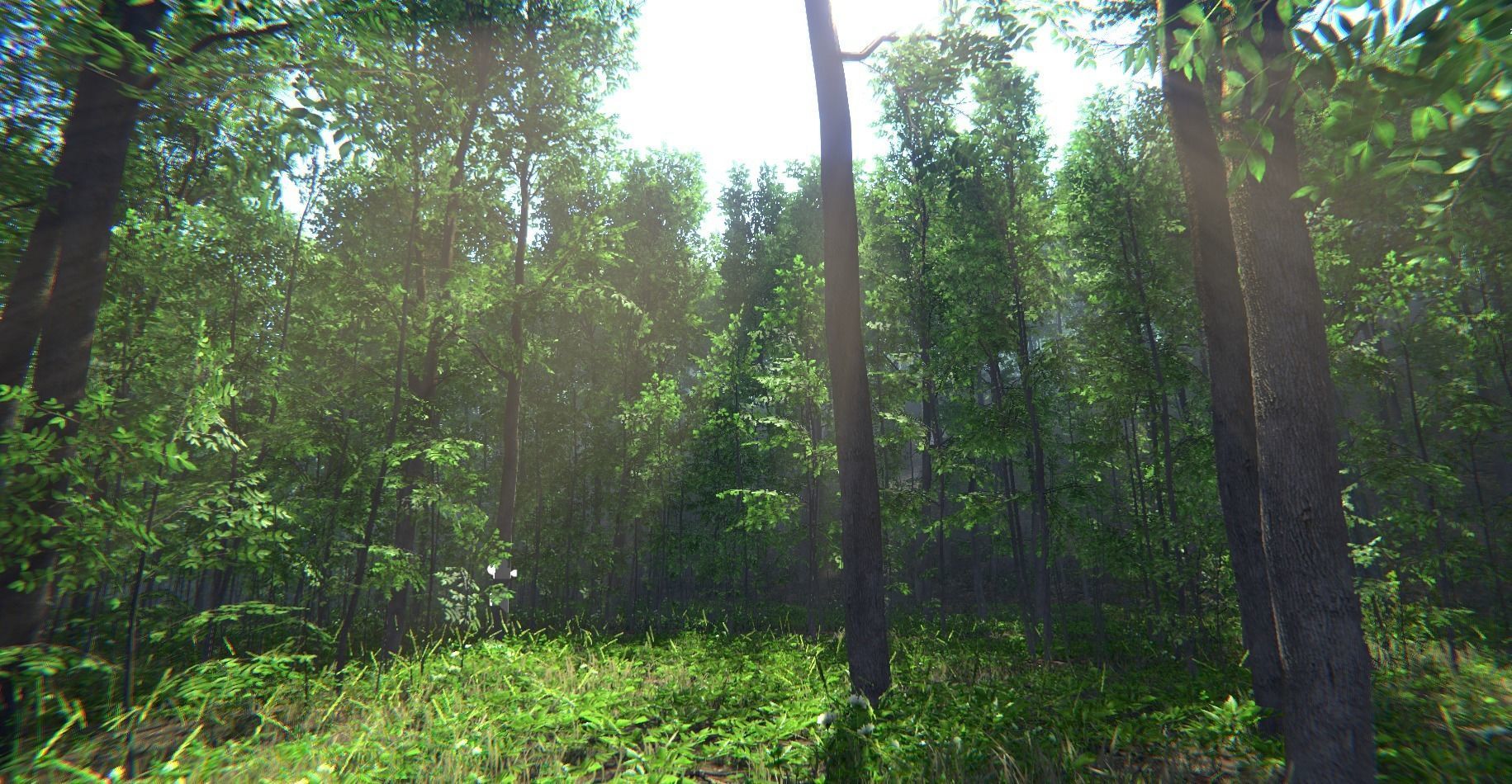 Nature Package - Forest Environment Unity Low-poly 3D model_41