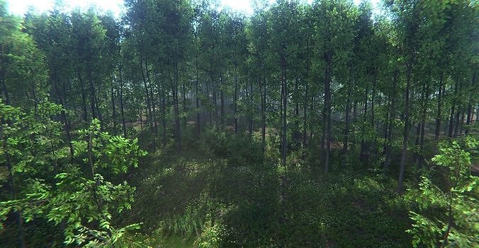 Nature Package - Forest Environment Unity Low-poly 3D model 4