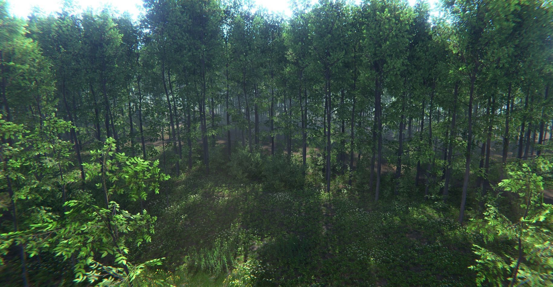 Nature Package - Forest Environment Unity Low-poly 3D model_5