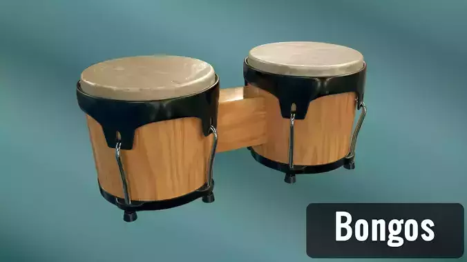 Bongos Music Instrument