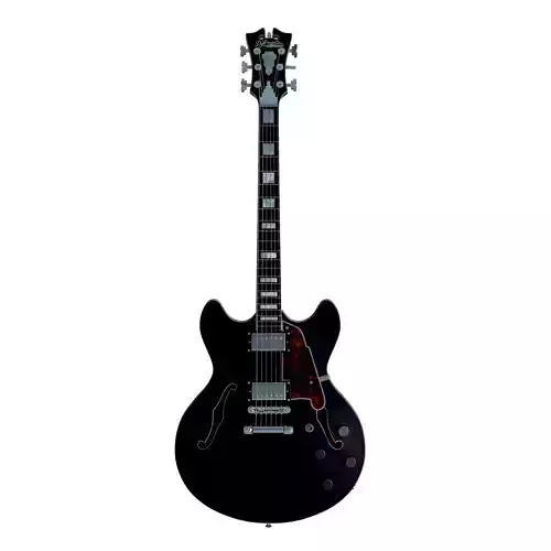 Dangelico premier dc guitar