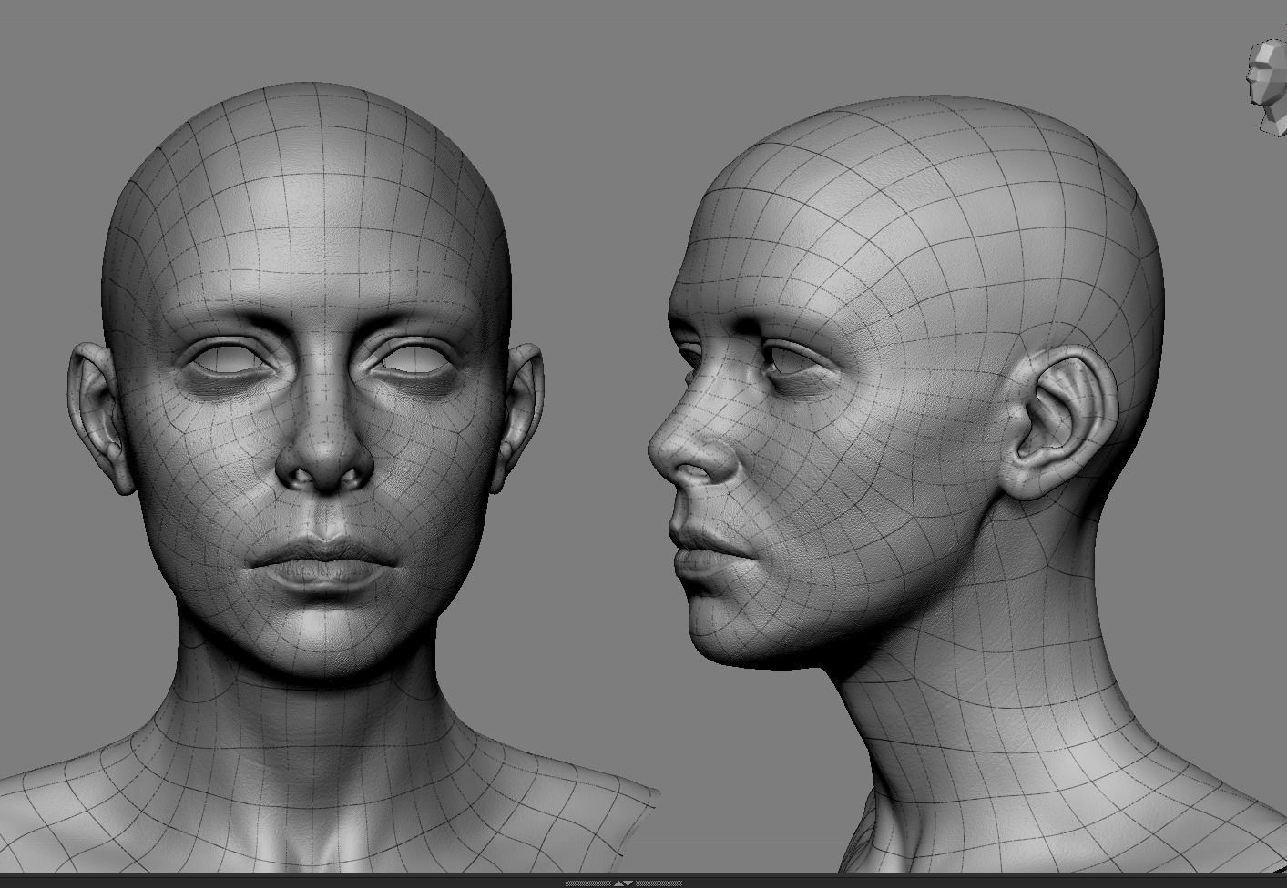 Realistic White Female Head Anatomy 3D model_6