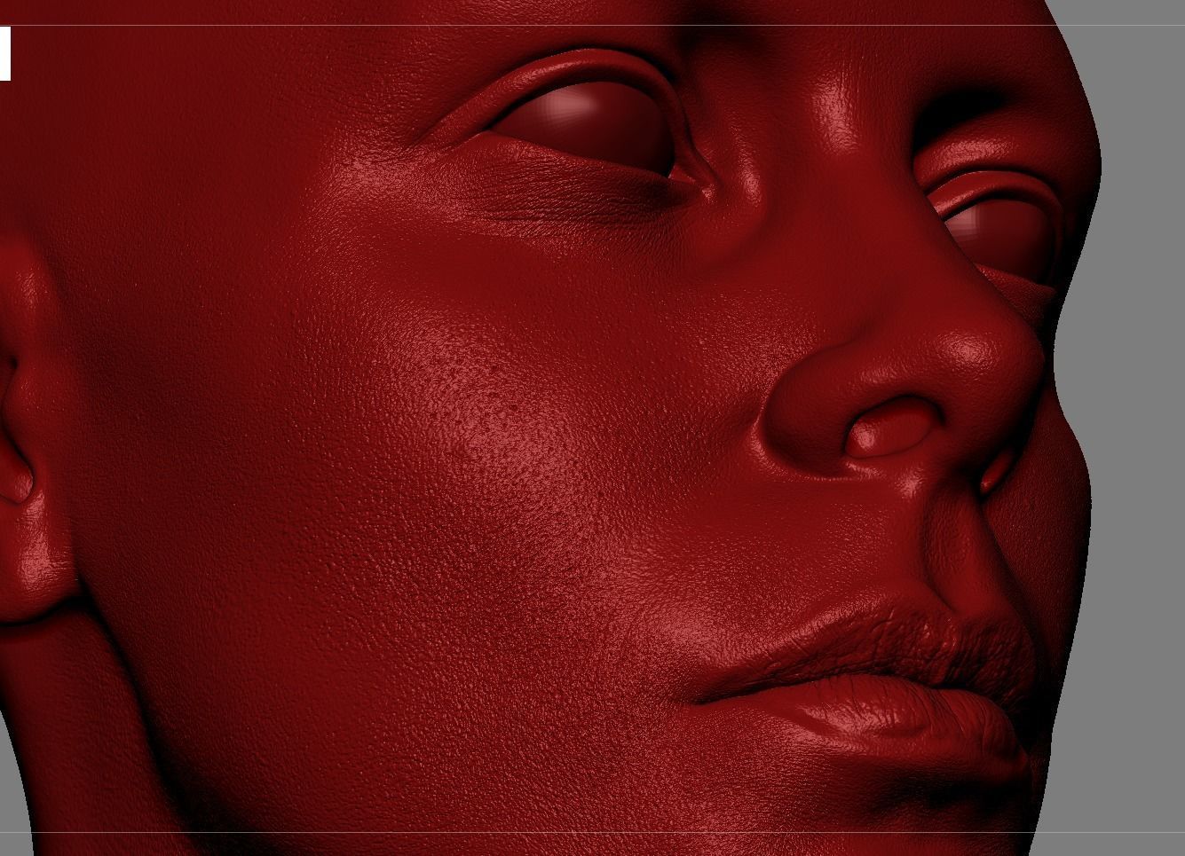 Realistic White Female Head Anatomy 3D model_8