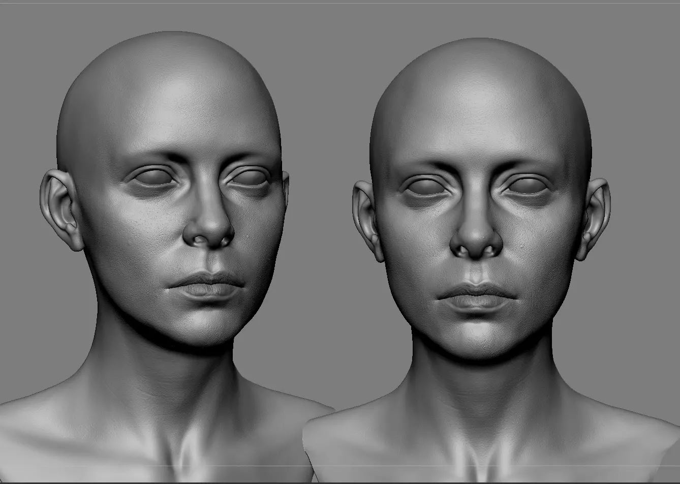 Realistic White Female Head Anatomy 3D model_0