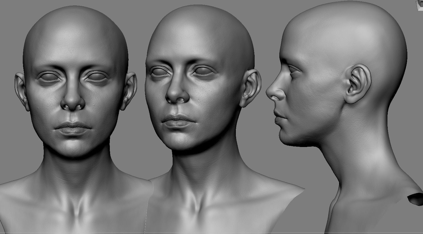 Realistic White Female Head Anatomy 3D model_5
