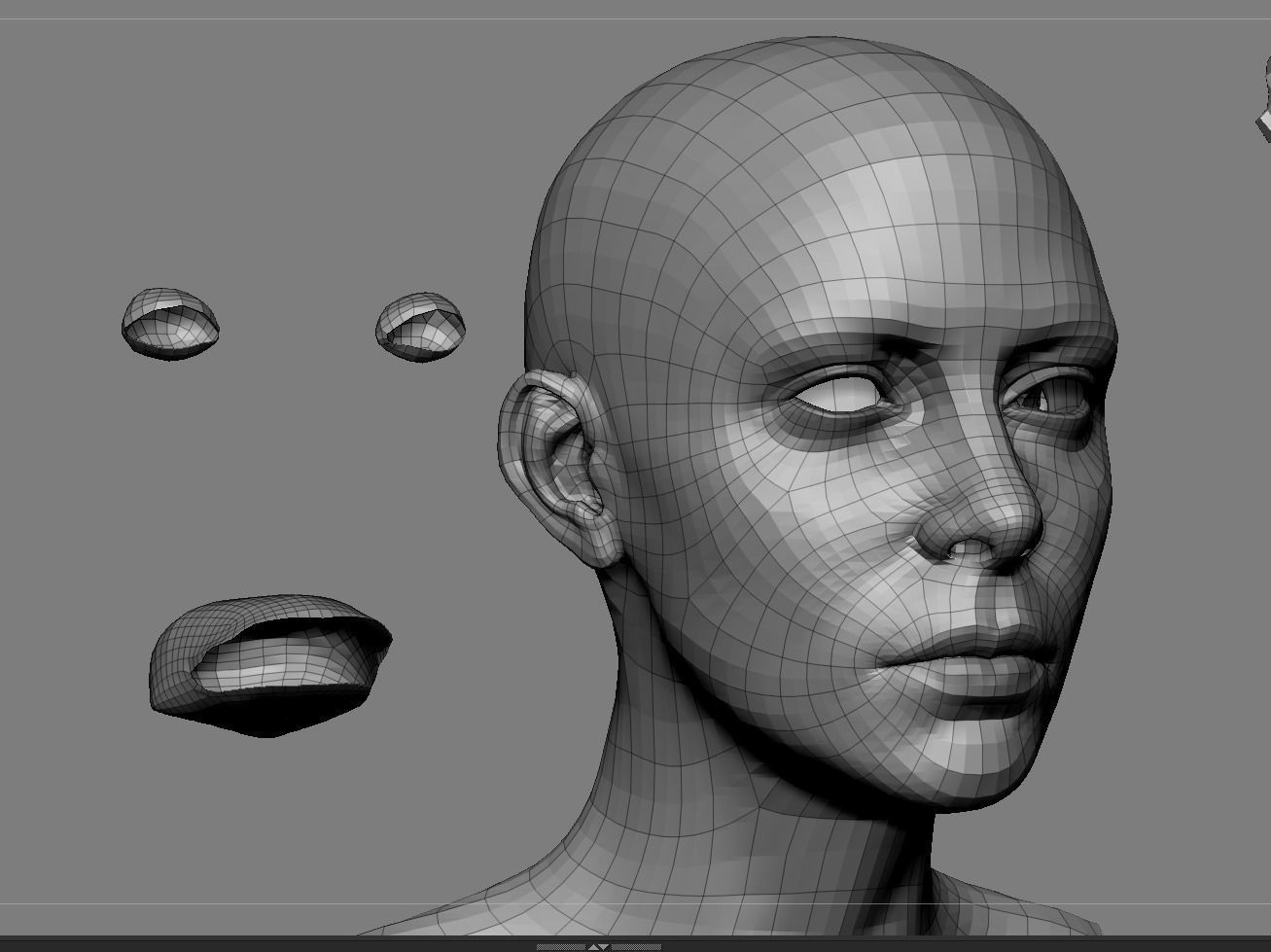 Realistic White Female Head Anatomy 3D model_7
